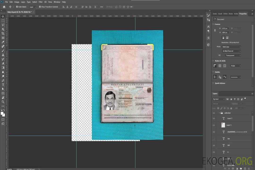 Look photo du passeport hongrois template Look photo du passeport hongrois template